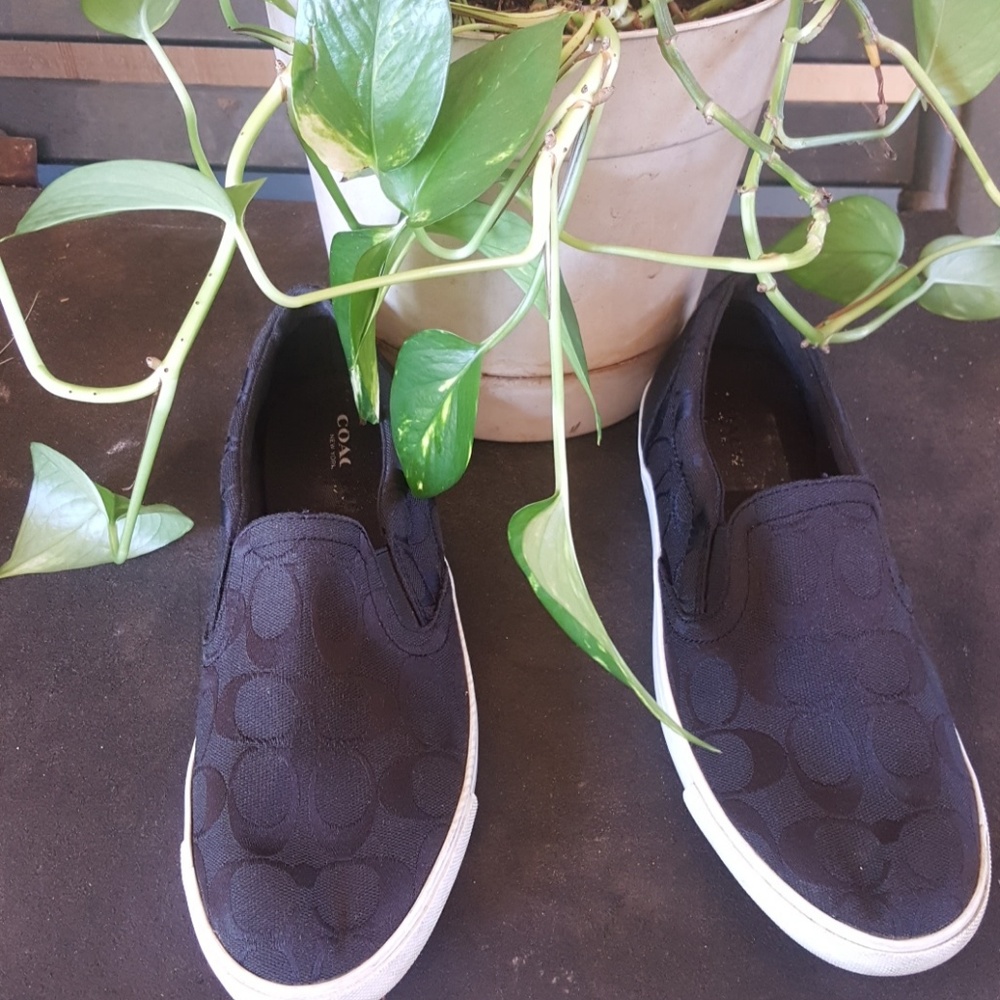 Coach shoes